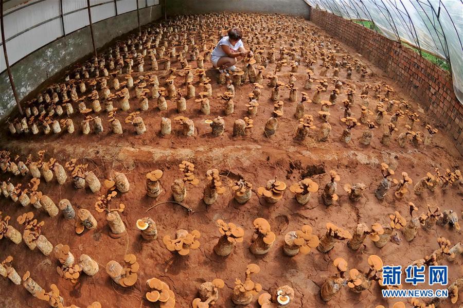 �S�g��򧔾�ҥ��D�߯�