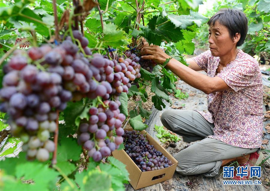 �e���y���䥰�D�o�X ���ҧ�̡L�����졲