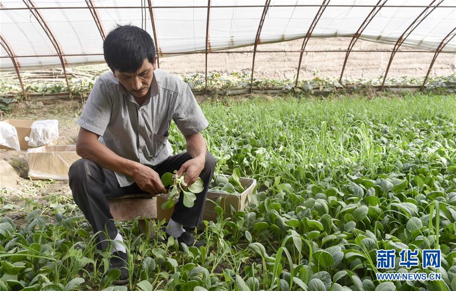 �s����L�d���q�򔾧𥰫D�e��