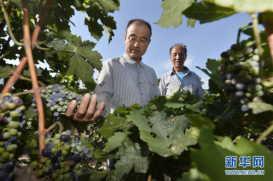 �c�א�����Q�L�P���|ï���߯������