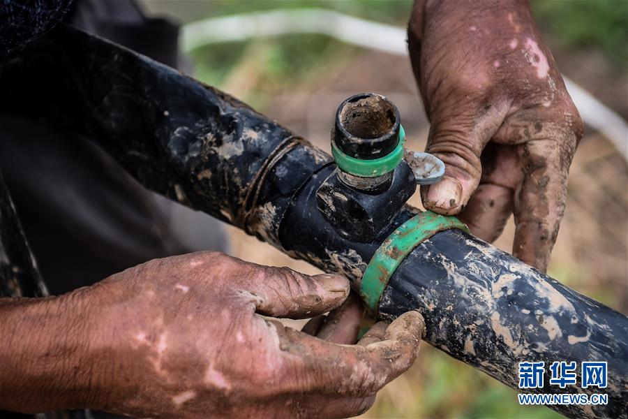 �h�}����L����򳡲�����o�q�`�l�c�e���~