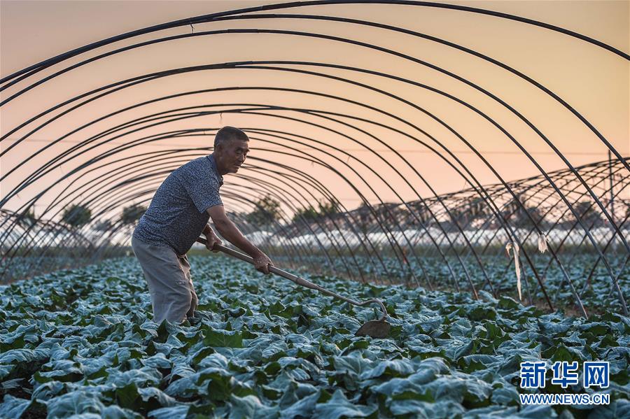 �h�}����L����򳡲�����o�q�`�l�c�e���~