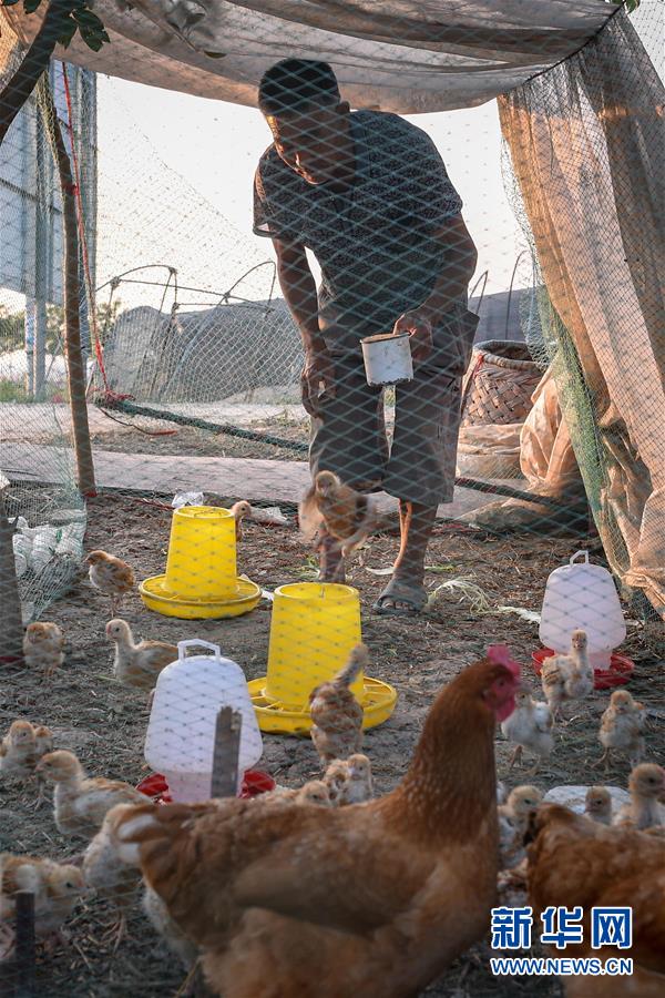 �h�}����L����򳡲�����o�q�`�l�c�e���~