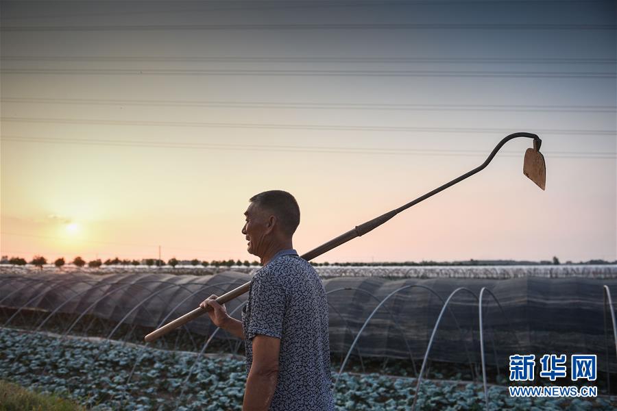 �h�}����L����򳡲�����o�q�`�l�c�e���~