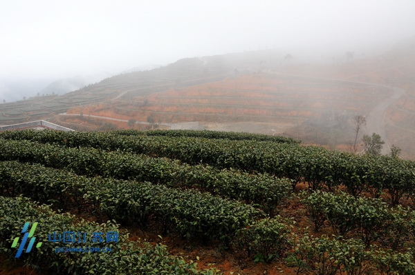 �s�~�ͺA �hä�I�дC�y����i�ѽťͺA����