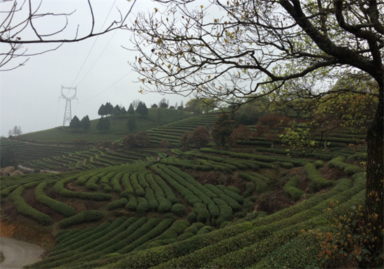 ���F�������o���L�hä�I�дC�y���F�����o�����Ħ���