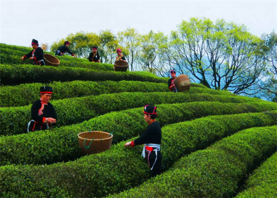 ���F�������o���L�hä�I�дC�y���F�����o�����Ħ���