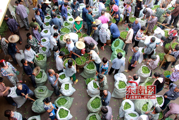 �L�Ũѥ������Ē����β���W �ѭɔU���Ϥ��T��