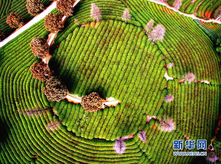 ��������c�K��֣���Z �P�n�ܬK�W�e��