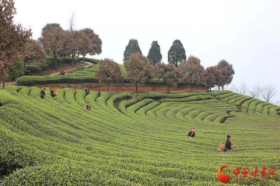 �L���F�������o�����hä�I�дC�y���Ľ����c�K �y�Q�������