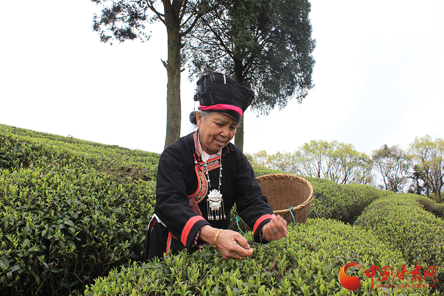 �L���F�������o�����hä�I�дC�y���Ľ����c�K �y�Q�������