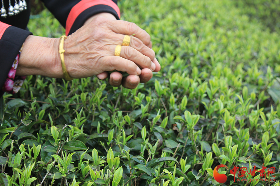 �L���F�������o�����hä�I�дC�y���Ľ����c�K �y�Q�������