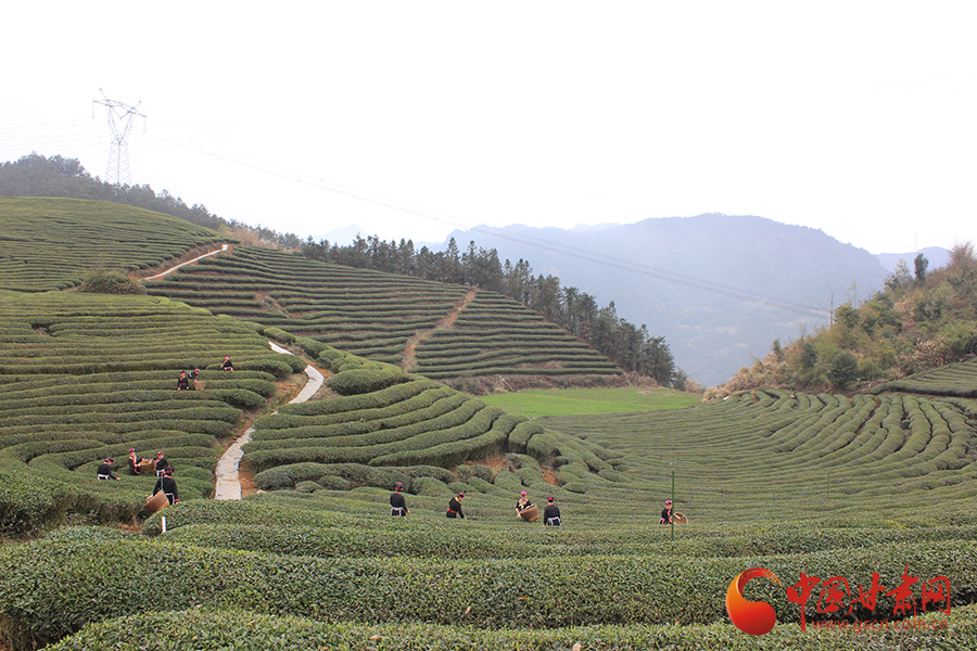 �L���F�������o�����hä�I�дC�y���Ľ����c�K �y�Q�������