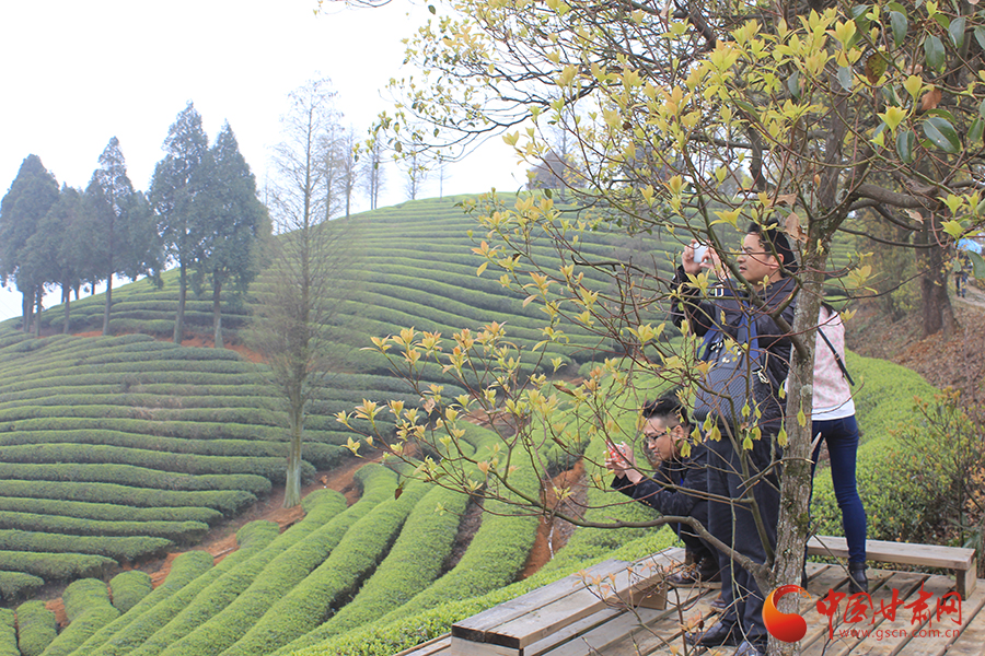 �L���F�������o�����hä�I�дC�y���Ľ����c�K �y�Q�������