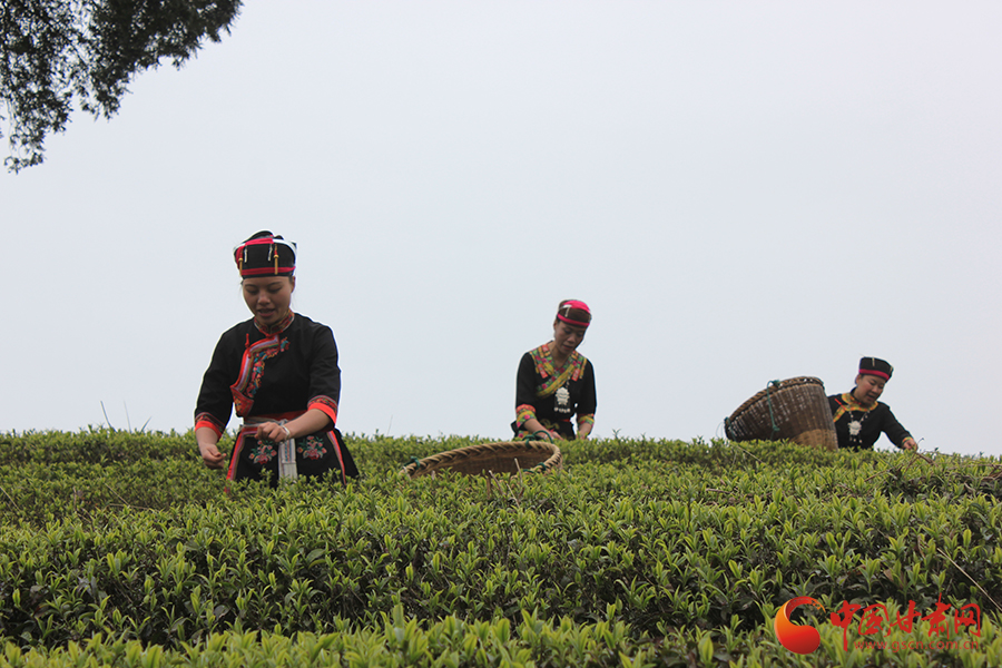 �L���F�������o�����hä�I�дC�y���Ľ����c�K �y�Q�������