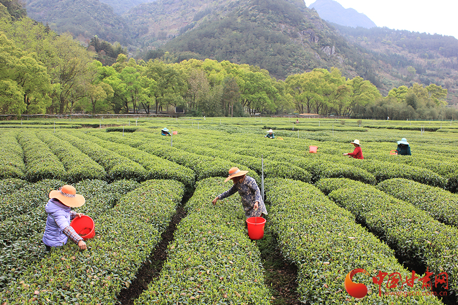 �L���F�������o�����hä�I�дC�y���Ľ����c�K �y�Q�������