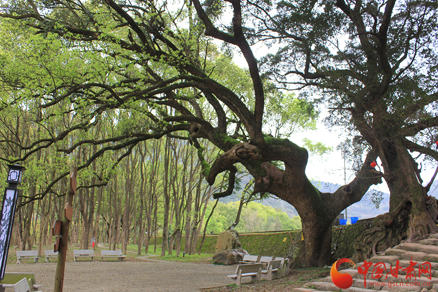 �L���F�������o�����hä�I�дC�y���Ē�e�N�ᓰ��