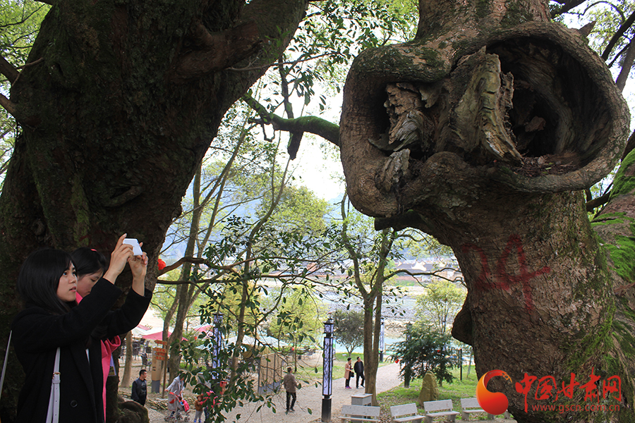 �L���F�������o�����hä�I�дC�y���Ē�e�N�ᓰ��