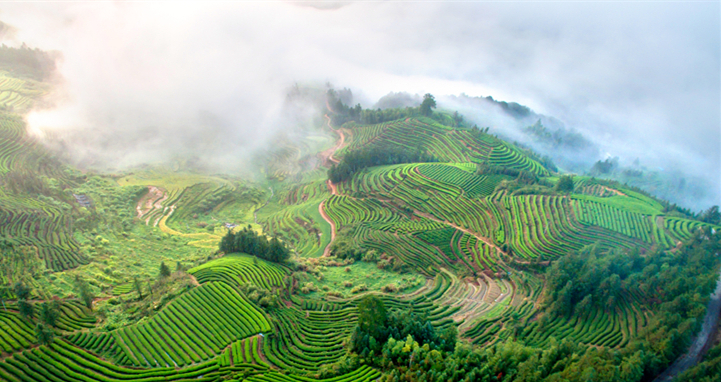 ���F�����o��I�C�~�k�y�����բW�c