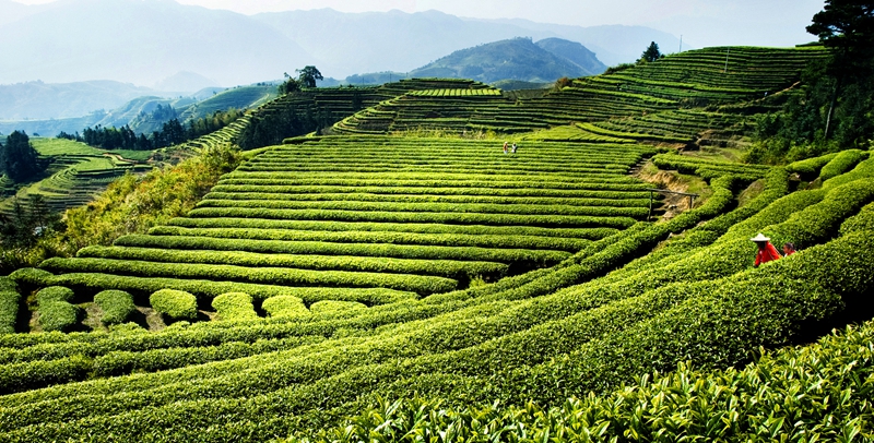 �K�����쳭���� �мZ�K�g�͵e��