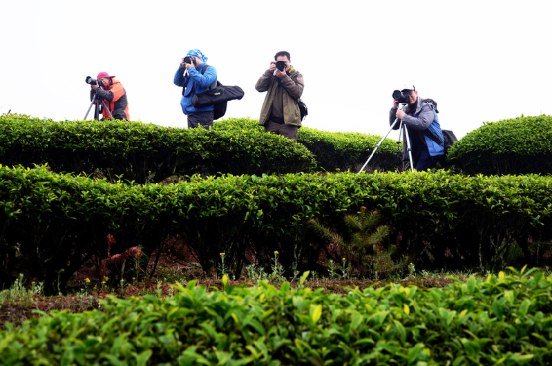 �K�����쳭���� �мZ�K�g�͵e��