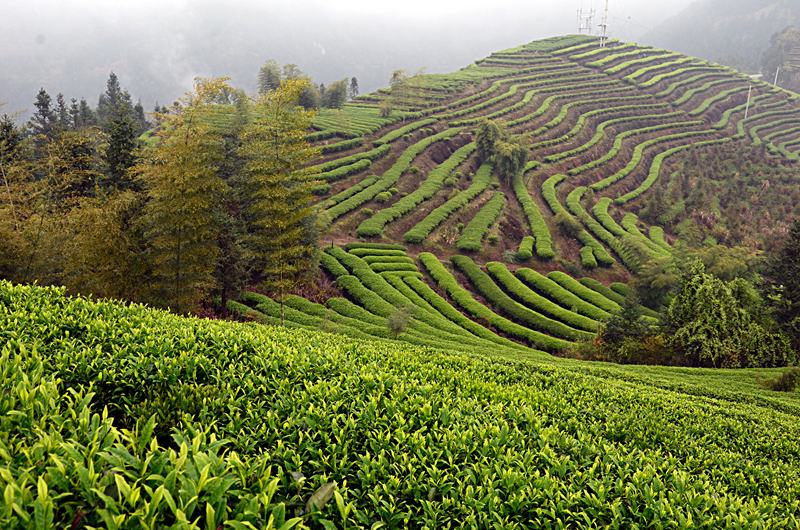 �K�����쳭���� �мZ�K�g�͵e��