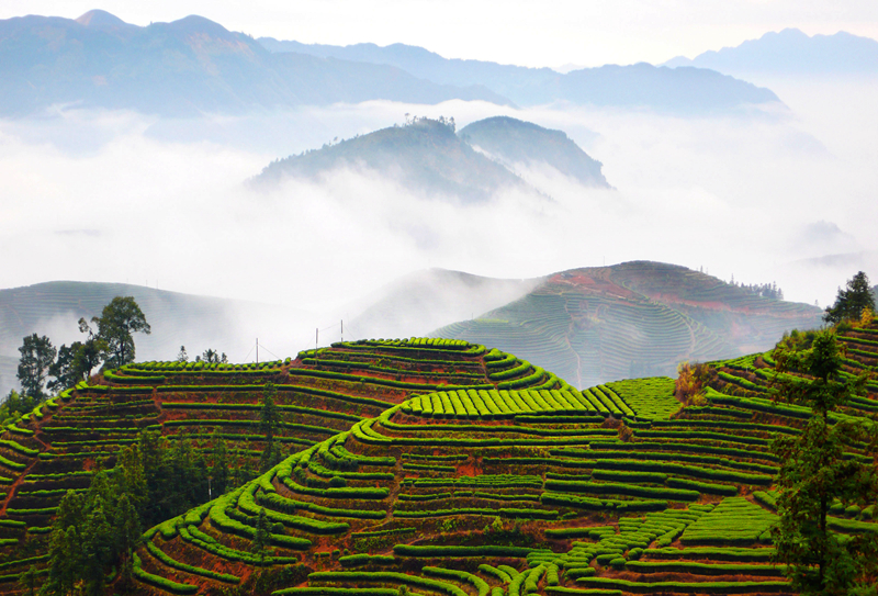 �K�����쳭���� �мZ�K�g�͵e��