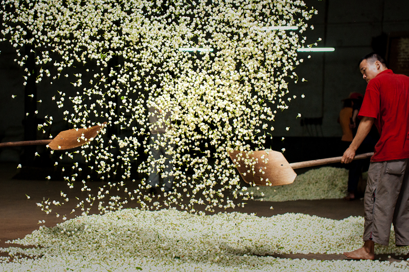 �K�����쳭���� �мZ�K�g�͵e��