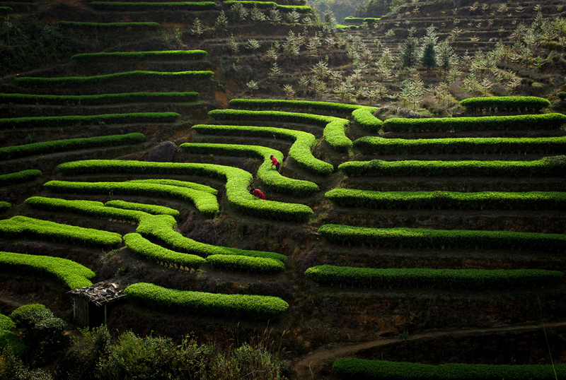 �K�����쳭���� �мZ�K�g�͵e��