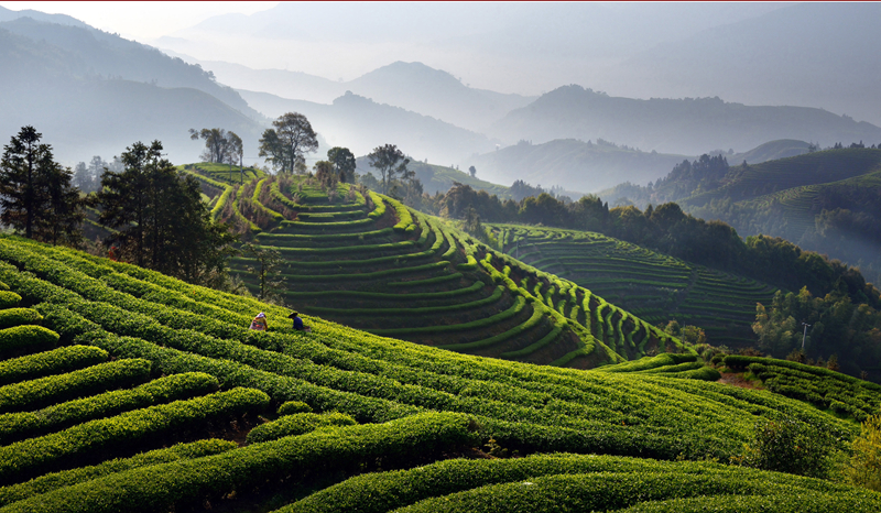 �K�����쳭���� �мZ�K�g�͵e��