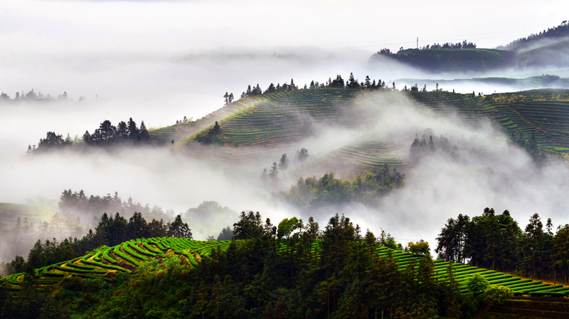 �K�����쳭���� �мZ�K�g�͵e��