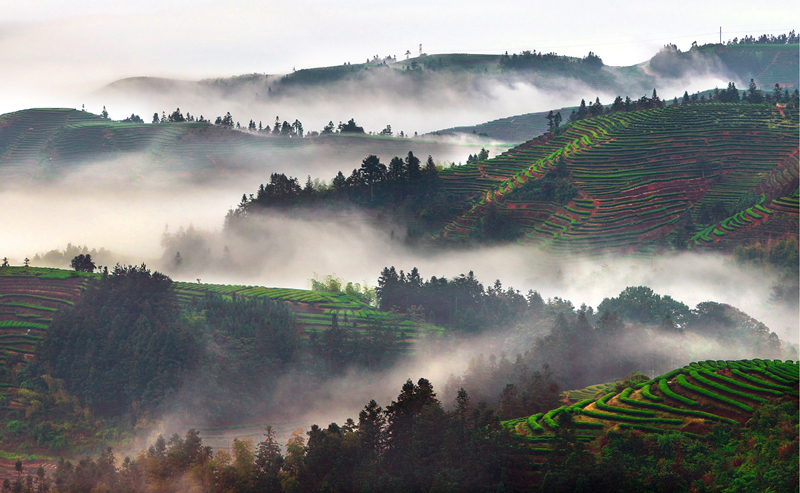 �K�����쳭���� �мZ�K�g�͵e��