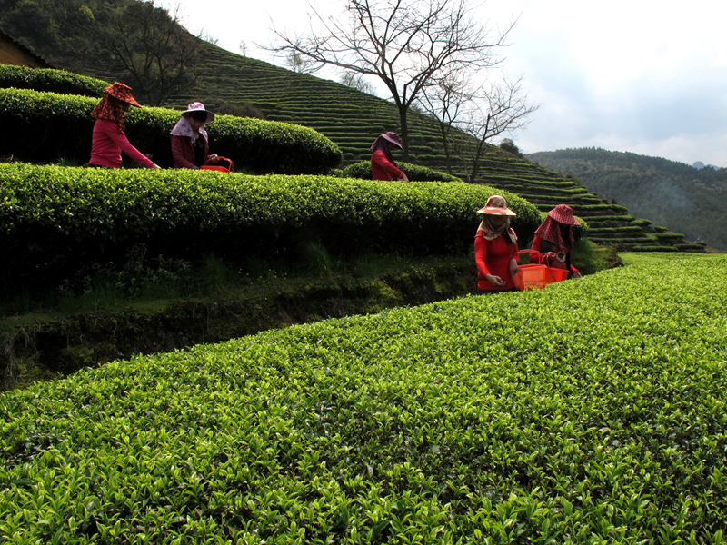 �K�����쳭���� �мZ�K�g�͵e��