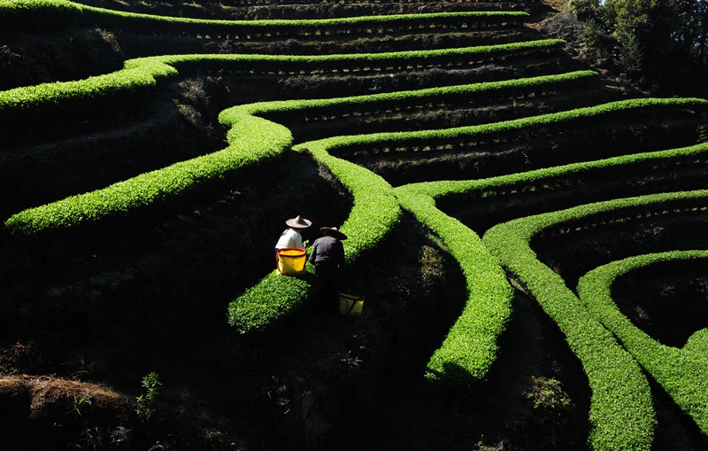 �K�����쳭���� �мZ�K�g�͵e��