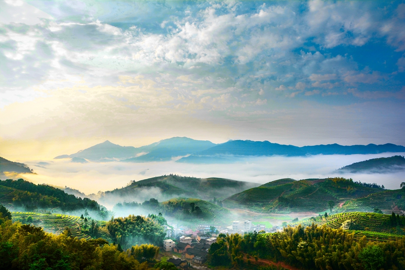 �K�����쳭���� �мZ�K�g�͵e��