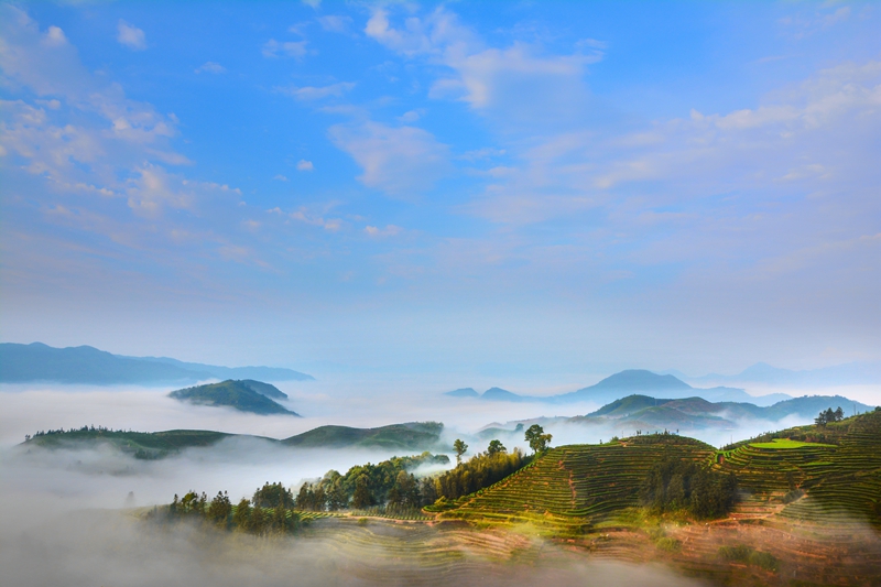 �K�����쳭���� �мZ�K�g�͵e��