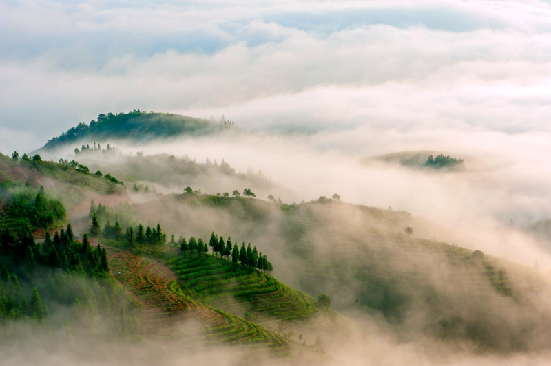 �K�����쳭���� �мZ�K�g�͵e��