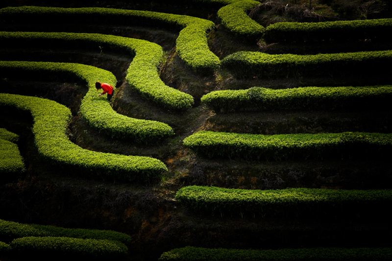 �K�����쳭���� �мZ�K�g�͵e��