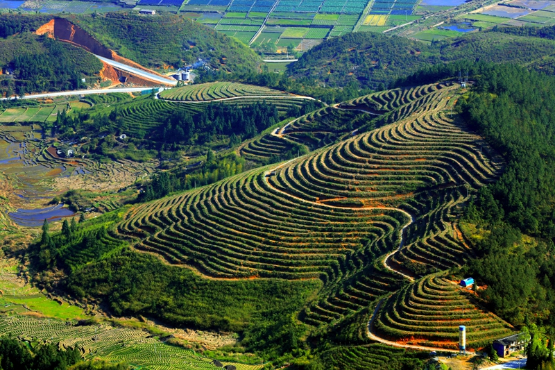 �K�����쳭���� �мZ�K�g�͵e��