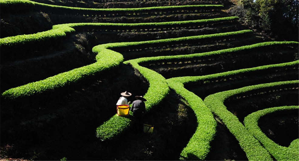 �K�����쳭���� �мZ�K�g�͵e��