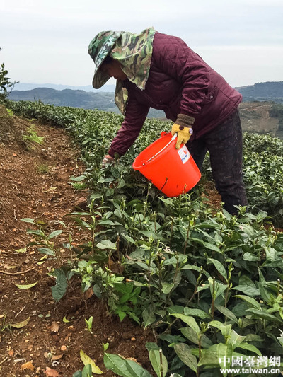 �����áo��Ͳ�ѥ���������ä���W�I�~�k �B�� ����