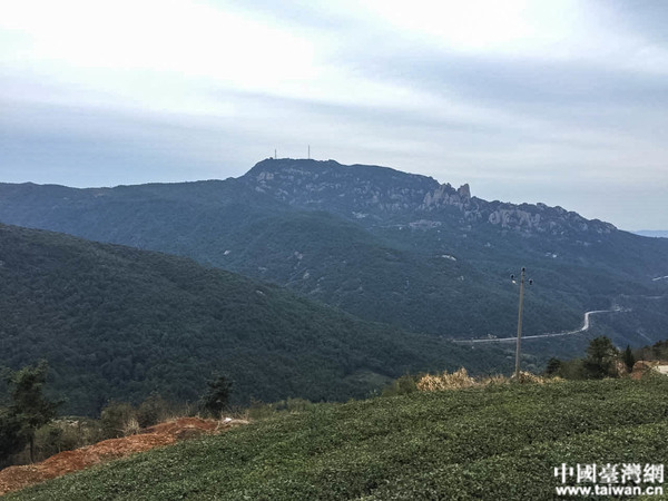 �����áo��Ͳ�ѥ���������ä���W�I�~�k �B�� ����