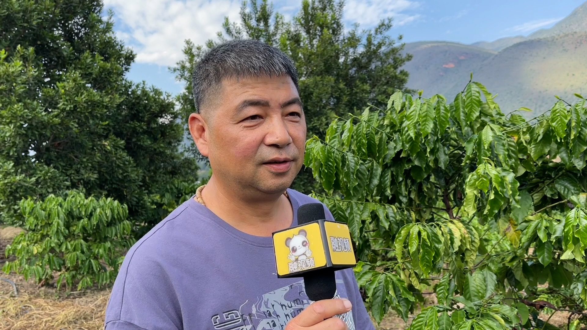 ���h����Ϥ�R�Y�ìf�P�q���j�ʕ[