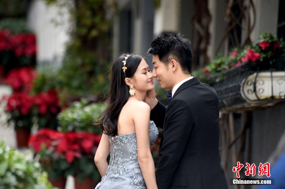 �E�s�֢u������ �D���د����c��o