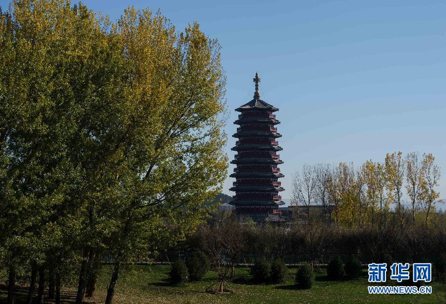 ���y�Ē�APEC�ȤB