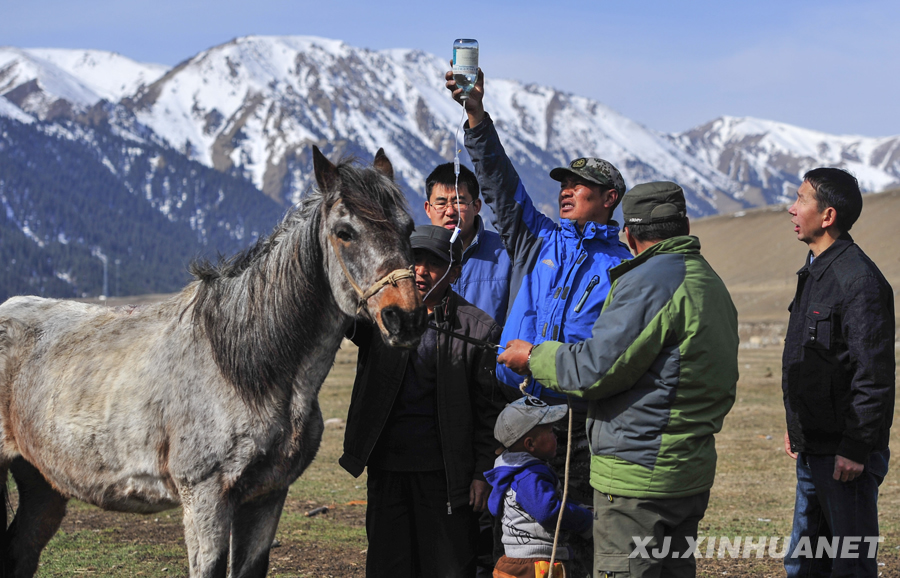 �M�f�U�� �[�~�Lֳ������s���}�i�L�����,�ȥ���,�����ߡ��_�����t