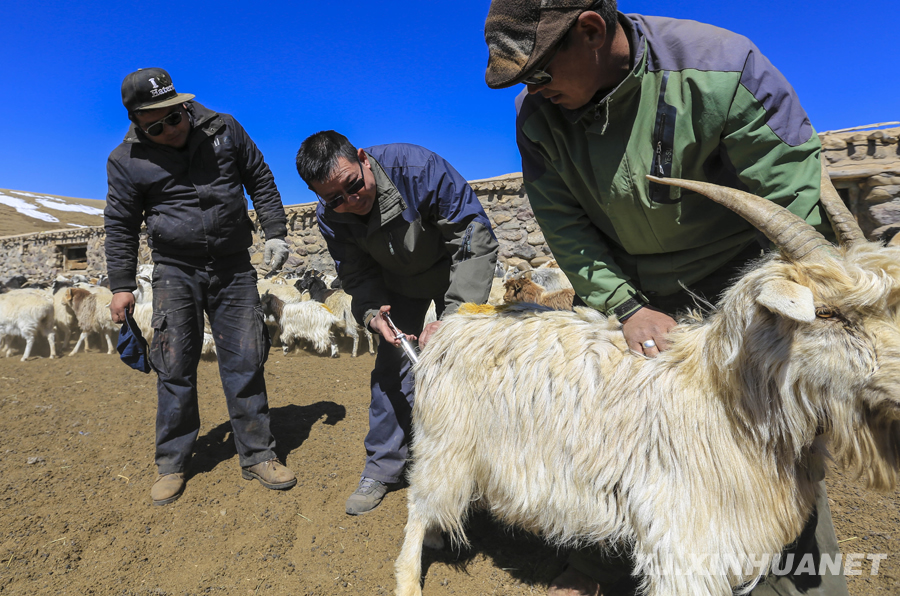 �M�f�U�� �[�~�Lֳ������s���}�i�L�����,�ȥ���,�����ߡ��_�����t