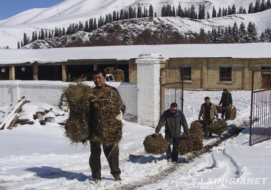 �M�f�U�� �[�~�Lֳ������s���}�i�L�����,�ȥ���,�����ߡ��_�����t