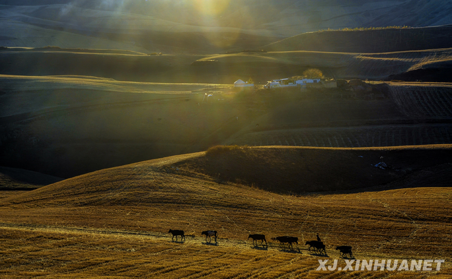 ���ܷs�����y���Ϳ��d���y�ţe��