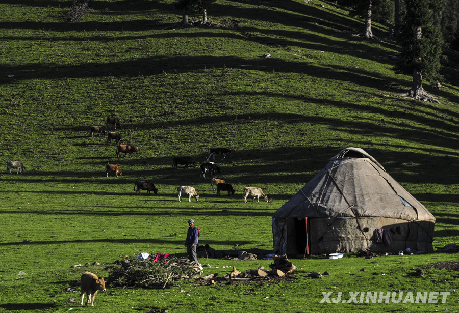 ���ܷs�����y���Ϳ��d���y�ţe��